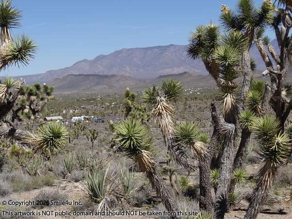 1 Acre of Residential Land for Sale in Dolan Springs, Arizona