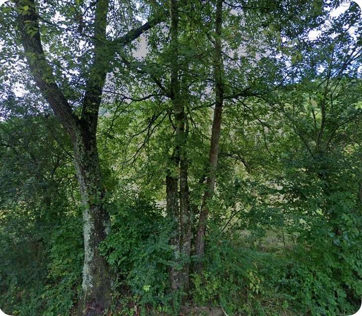 10.2 Acres of Land for Sale in Whites Creek, Tennessee