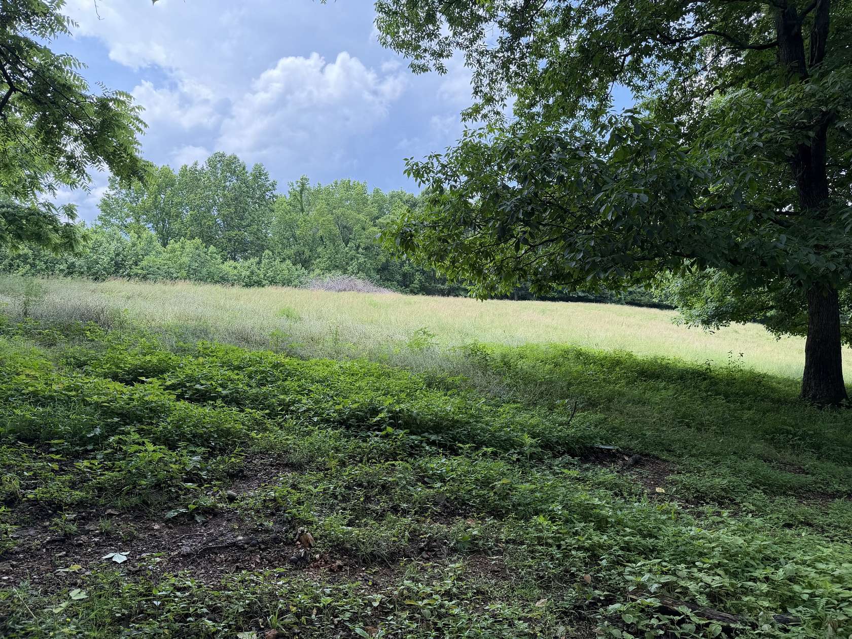 10.8 Acres of Land for Auction in Belvidere, Tennessee