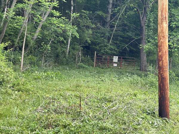 18.9 Acres of Land for Sale in Butler, Tennessee
