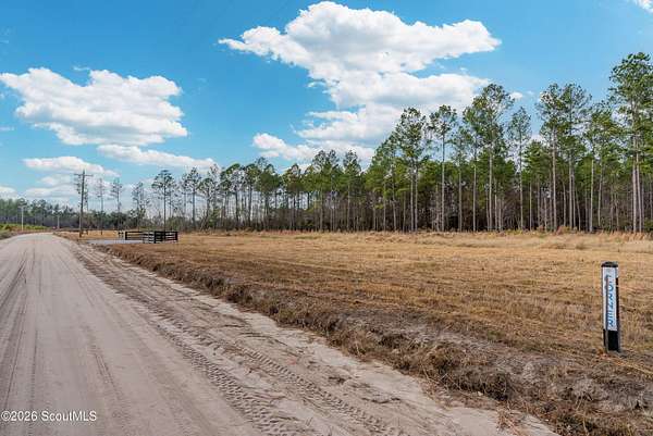 14.9 Acres of Agricultural Land for Sale in Brooklet, Georgia