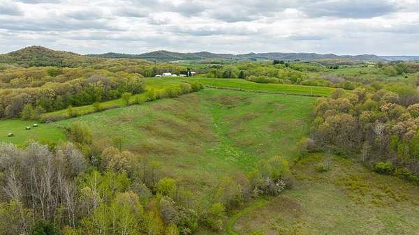 43 Acres of Land for Sale in Mondovi, Wisconsin