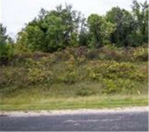 2.5 Acres of Land for Sale in Spring Lake Township, Minnesota