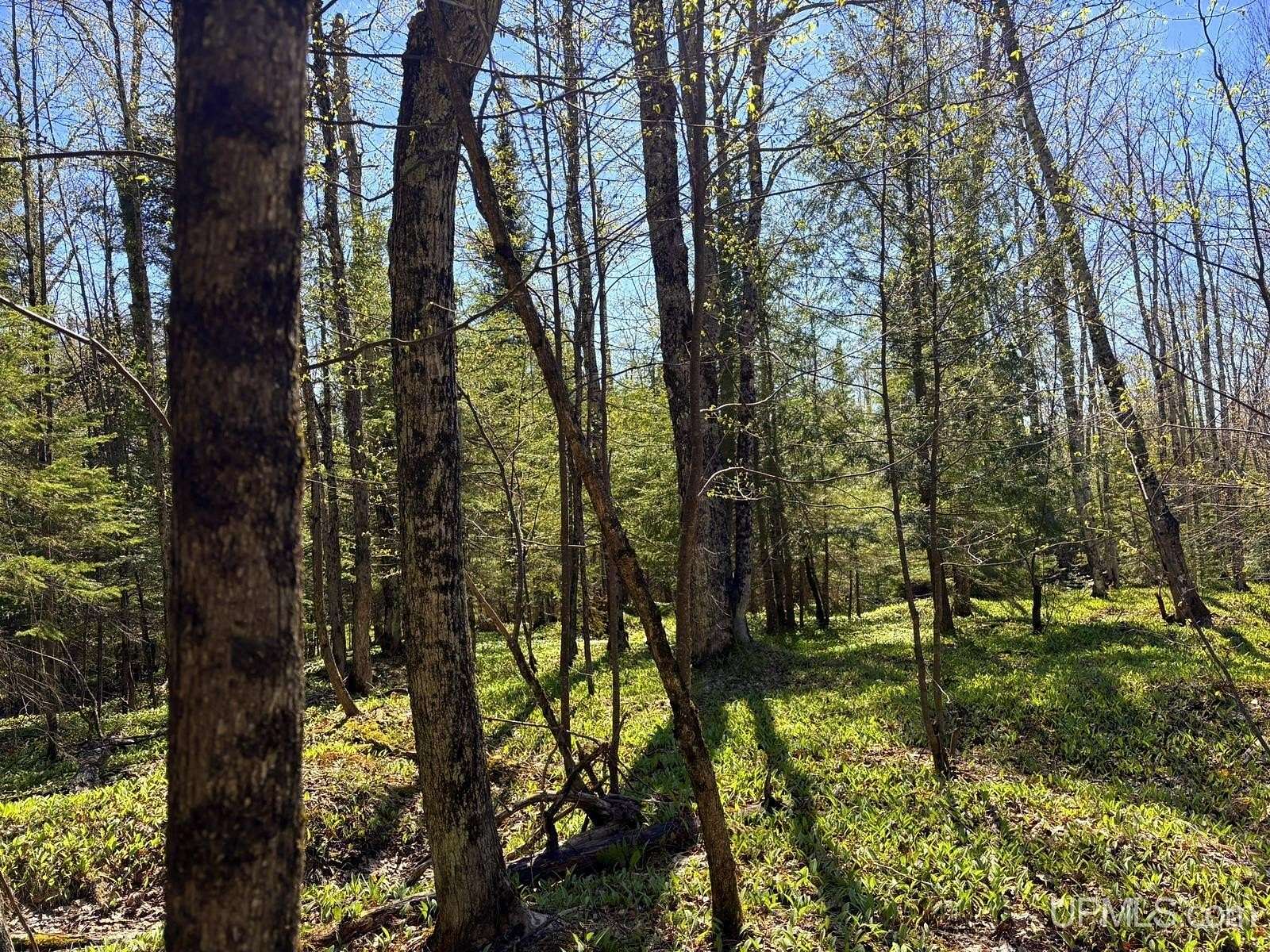 10 Acres of Residential Land for Sale in Skandia, Michigan