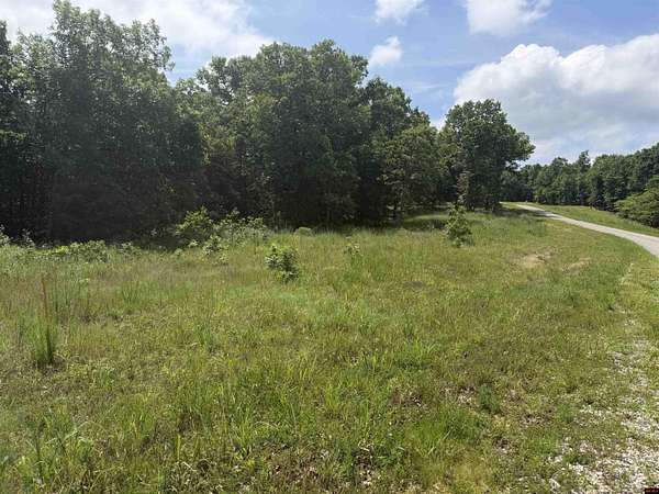10.3 Acres of Land for Sale in Clarkridge, Arkansas