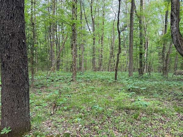 8.2 Acres of Land for Sale in South Dayton, New York