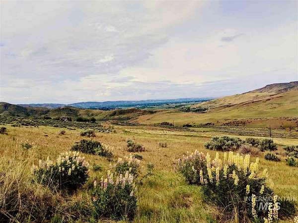40 Acres of Land for Sale in Emmett, Idaho