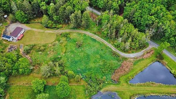 16.8 Acres of Recreational Land with Home for Sale in Fremont Town, New York
