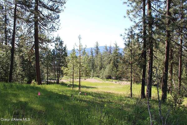 10 Acres of Agricultural Land for Sale in Coeur d'Alene, Idaho