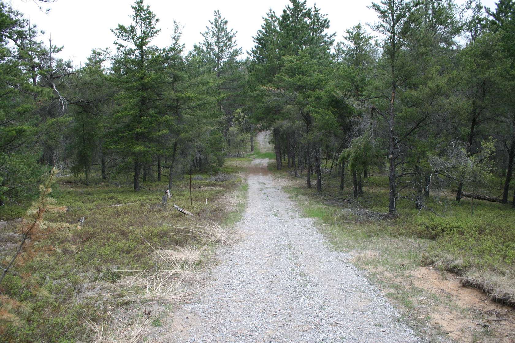 13 Acres of Recreational Land for Sale in West Branch, Michigan