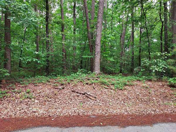 0.23 Acres of Residential Land for Sale in Hot Springs Village, Arkansas