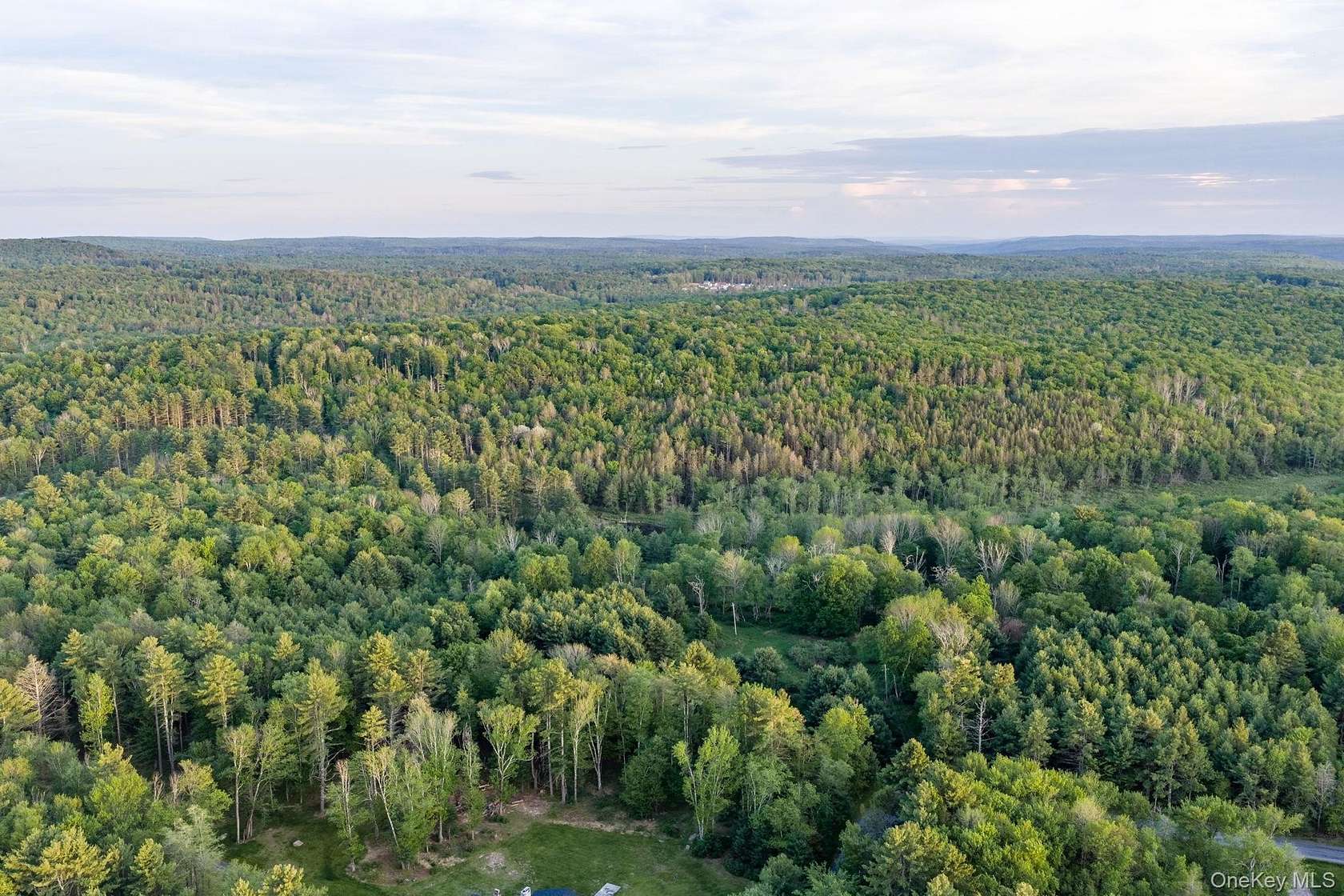 87 Acres of Land for Sale in Monticello, New York