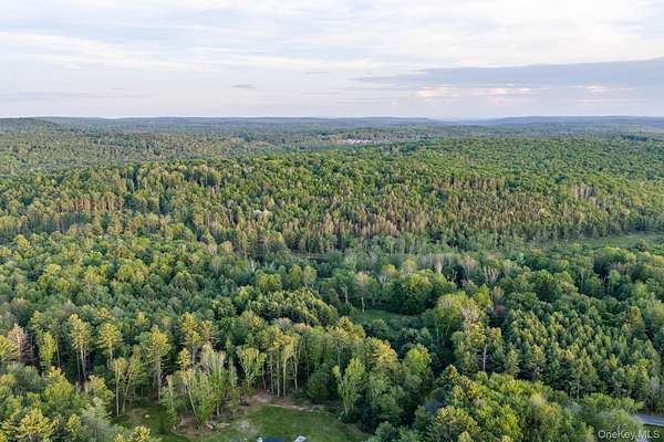 87 Acres of Land for Sale in Monticello, New York