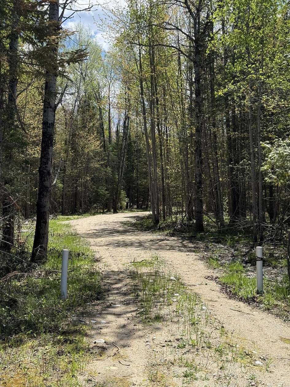 25 Acres of Recreational & Residential Land for Sale in Newberry, Michigan