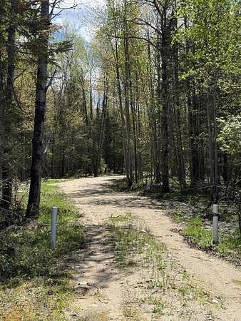 25 Acres of Recreational & Residential Land for Sale in Newberry, Michigan