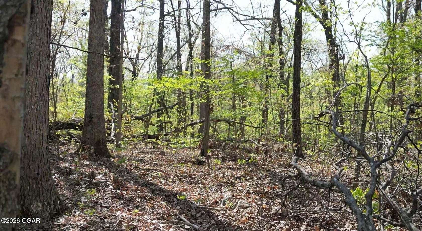 3 Acres of Land for Sale in Anderson, Missouri