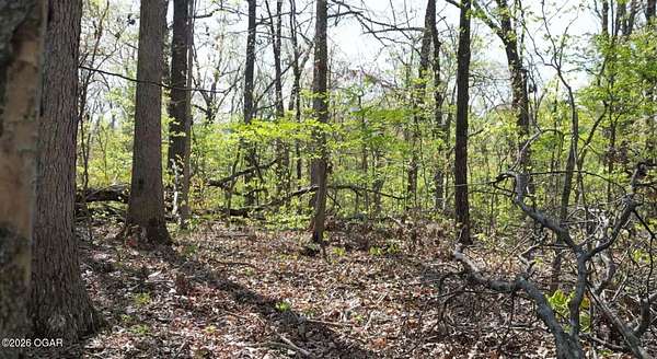 3 Acres of Land for Sale in Anderson, Missouri