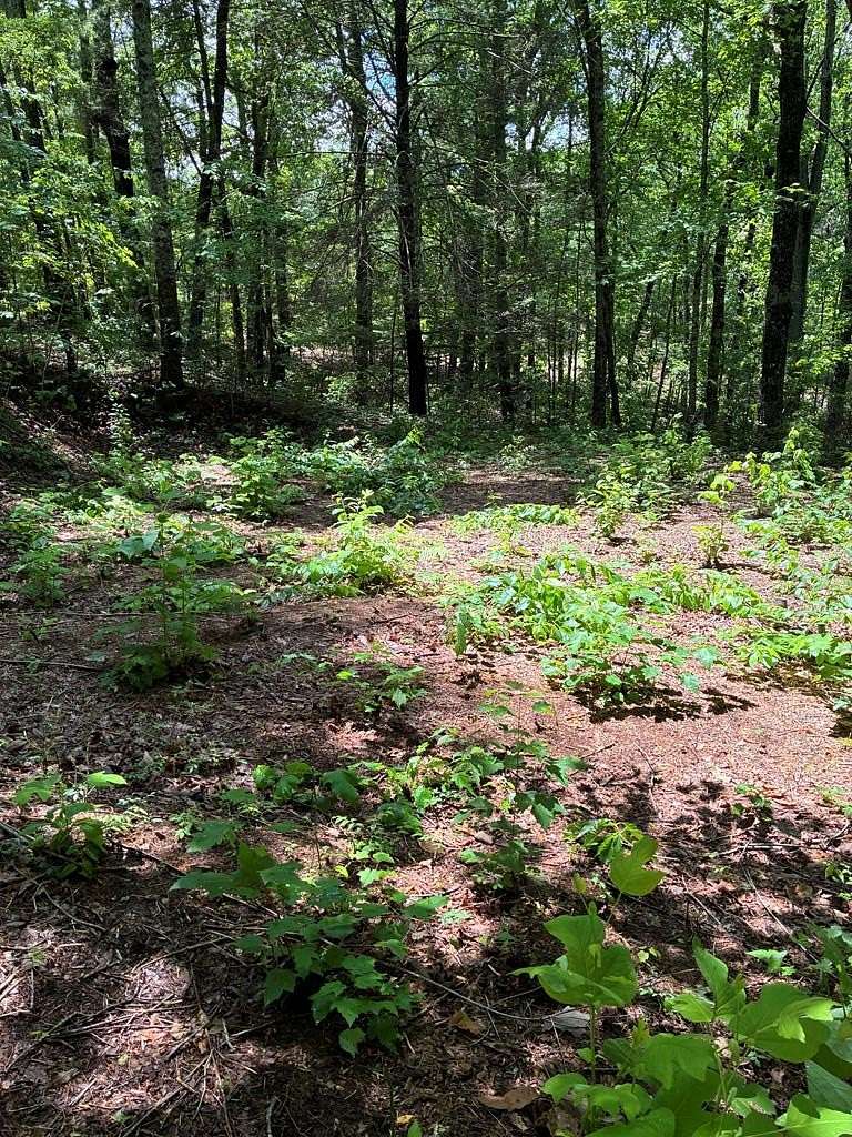 3.43 Acres of Residential Land for Sale in Ellijay, Georgia