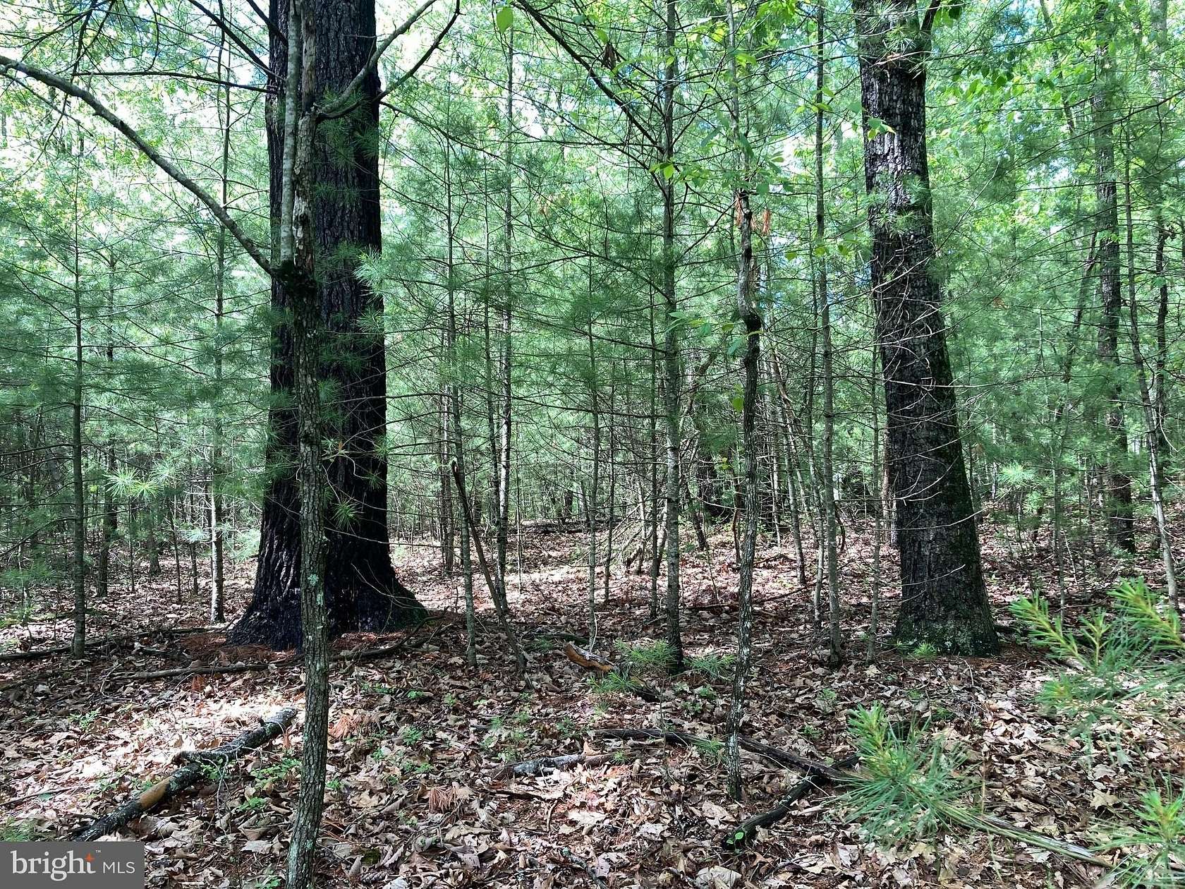 2.9 Acres of Residential Land for Sale in Capon Bridge, West Virginia