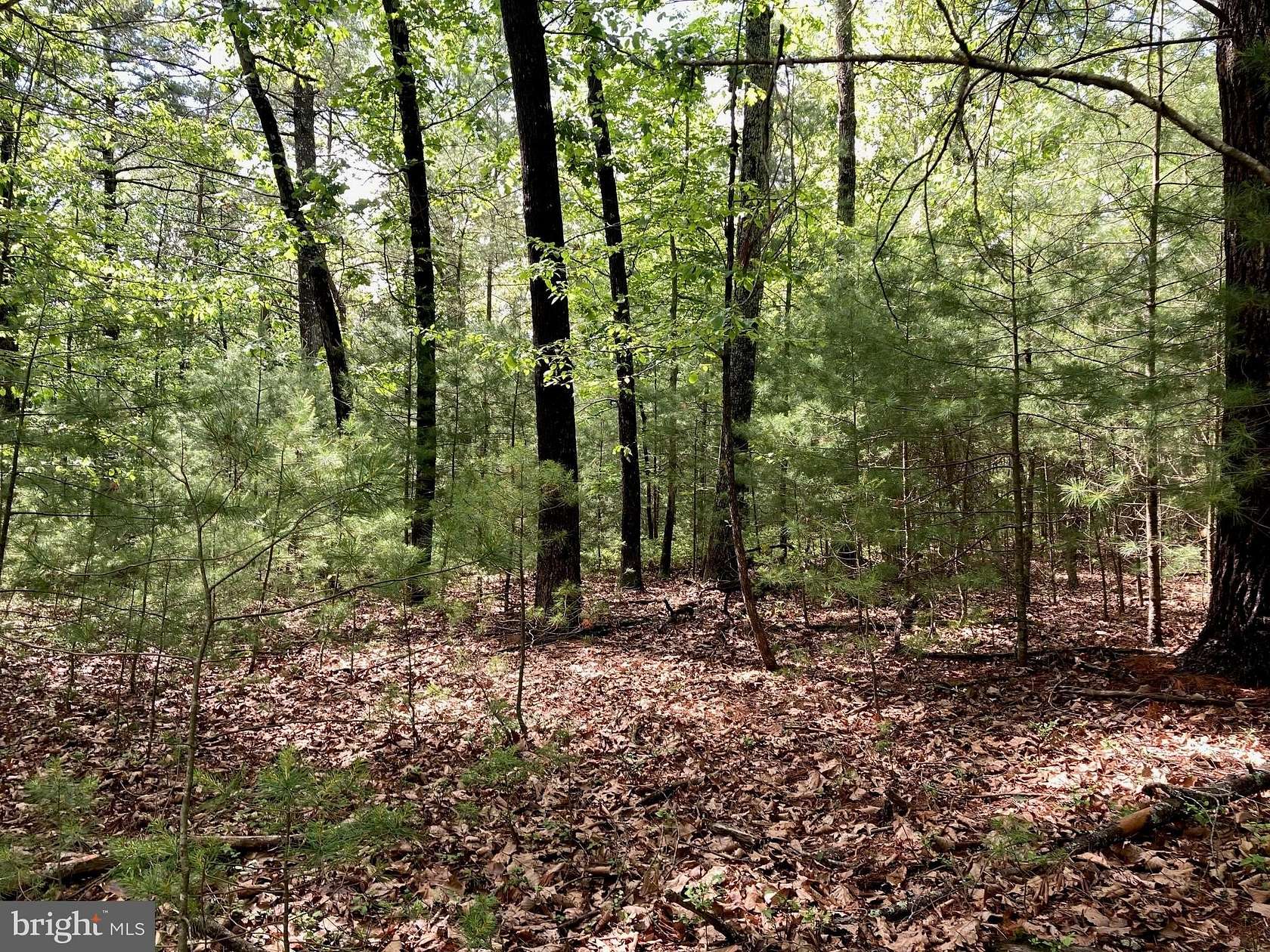 2.9 Acres of Residential Land for Sale in Capon Bridge, West Virginia