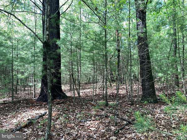 2.9 Acres of Residential Land for Sale in Capon Bridge, West Virginia