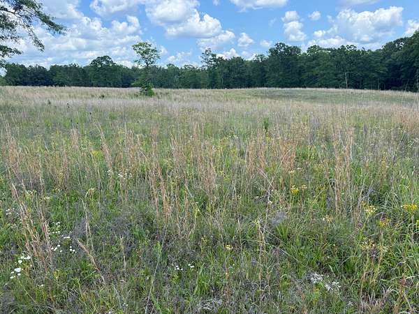 62 Acres of Land for Sale in Sylacauga, Alabama