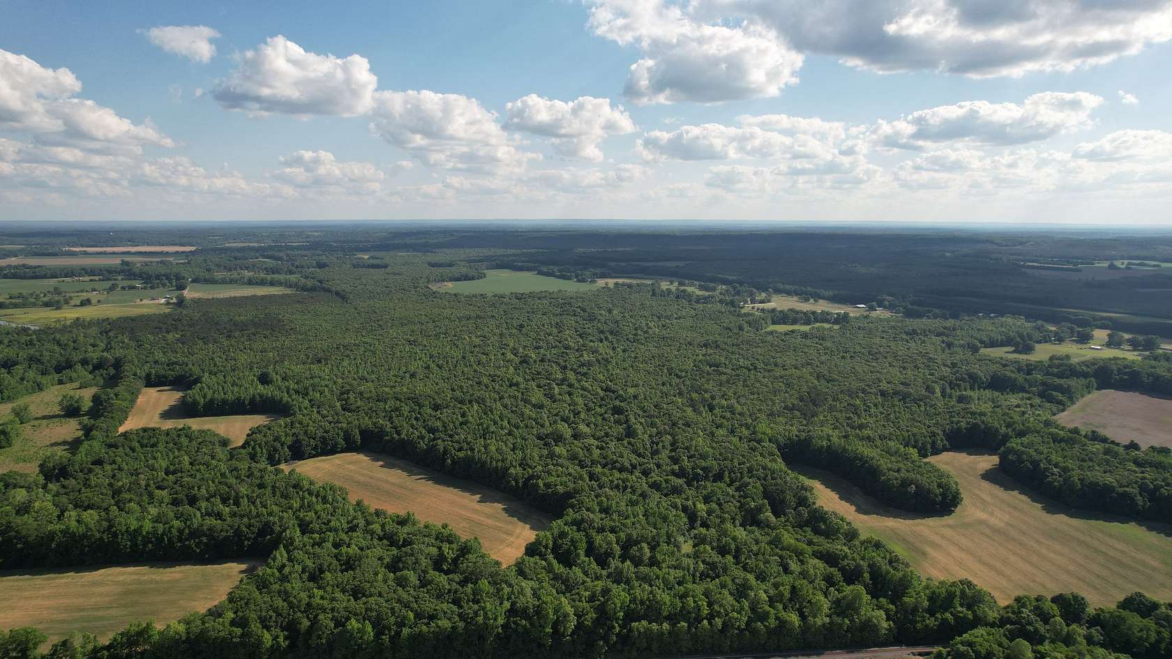 292 Acres of Land for Sale in Hillsboro, Alabama