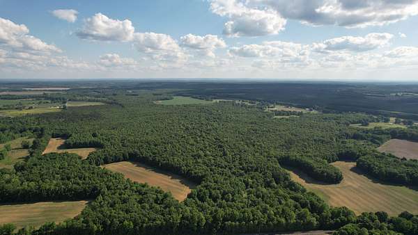 292 Acres of Land for Sale in Hillsboro, Alabama