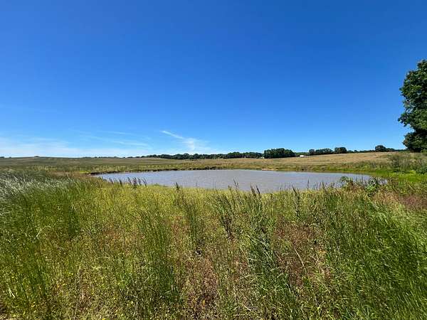 11 Acres of Agricultural Land for Sale in Florence, Alabama