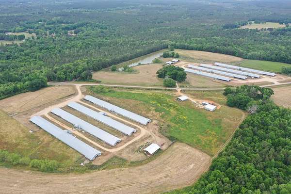 70 Acres of Agricultural Land for Sale in Leakesville, Mississippi