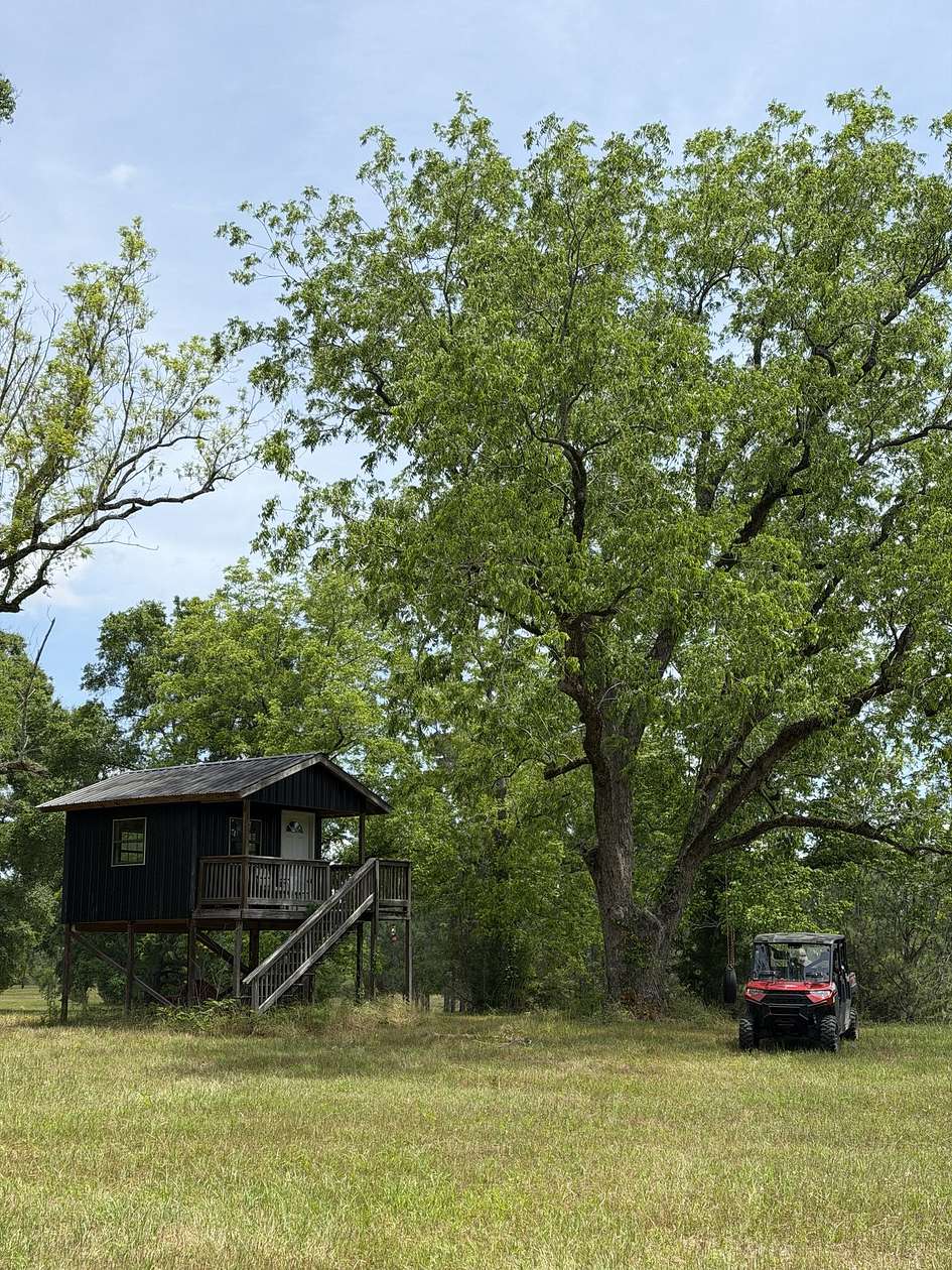 295 Acres of Recreational & Residential Land for Sale in Elba, Alabama