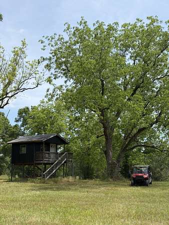 295 Acres of Recreational & Residential Land for Sale in Elba, Alabama
