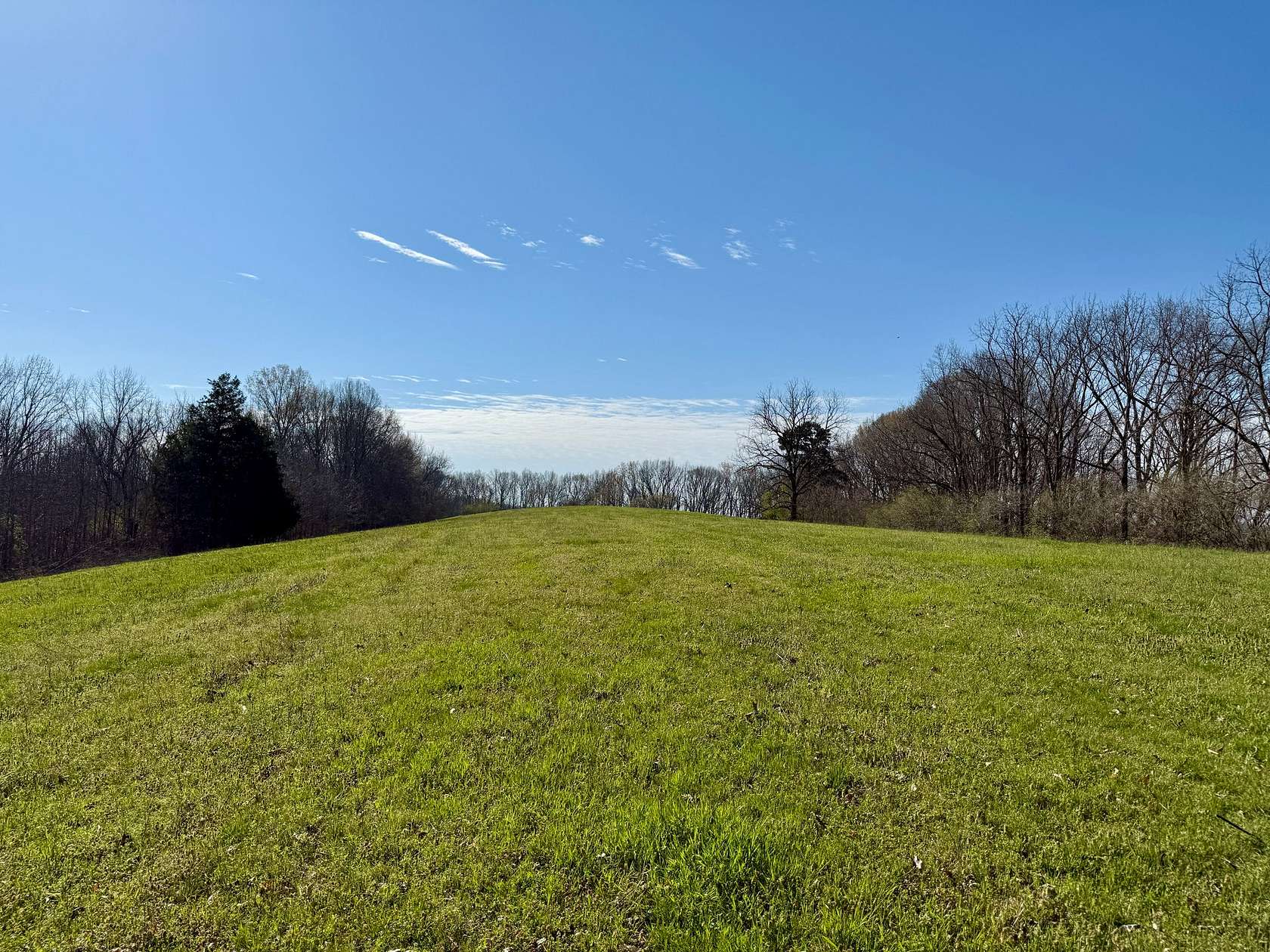 59 Acres of Recreational & Residential Land for Sale in Lester, Alabama
