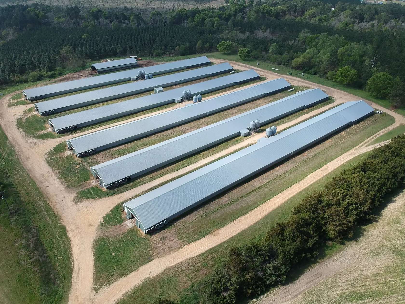 60 Acres of Land for Sale in Norman Park, Georgia