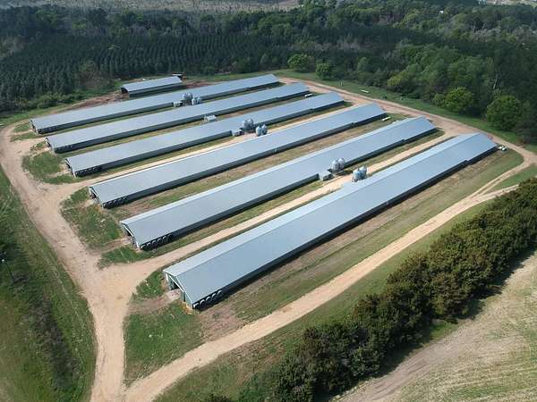60 Acres of Land for Sale in Norman Park, Georgia
