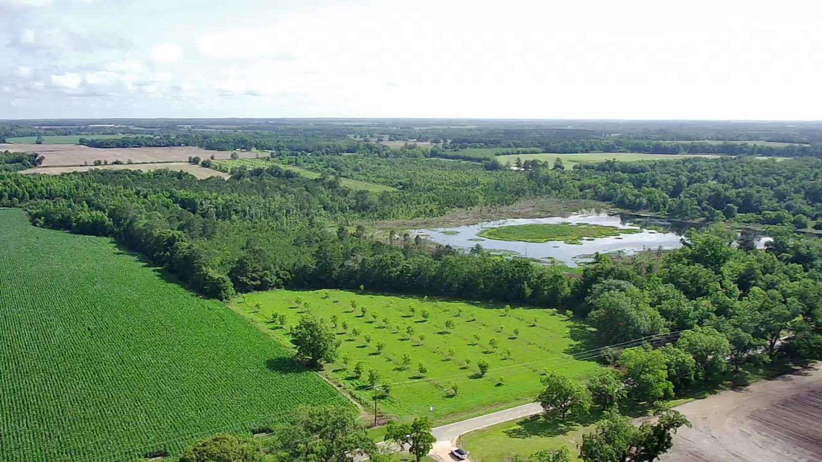 113 Acres of Agricultural Land for Auction in Cairo, Georgia