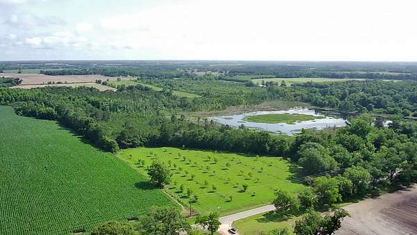 113 Acres of Agricultural Land for Auction in Cairo, Georgia