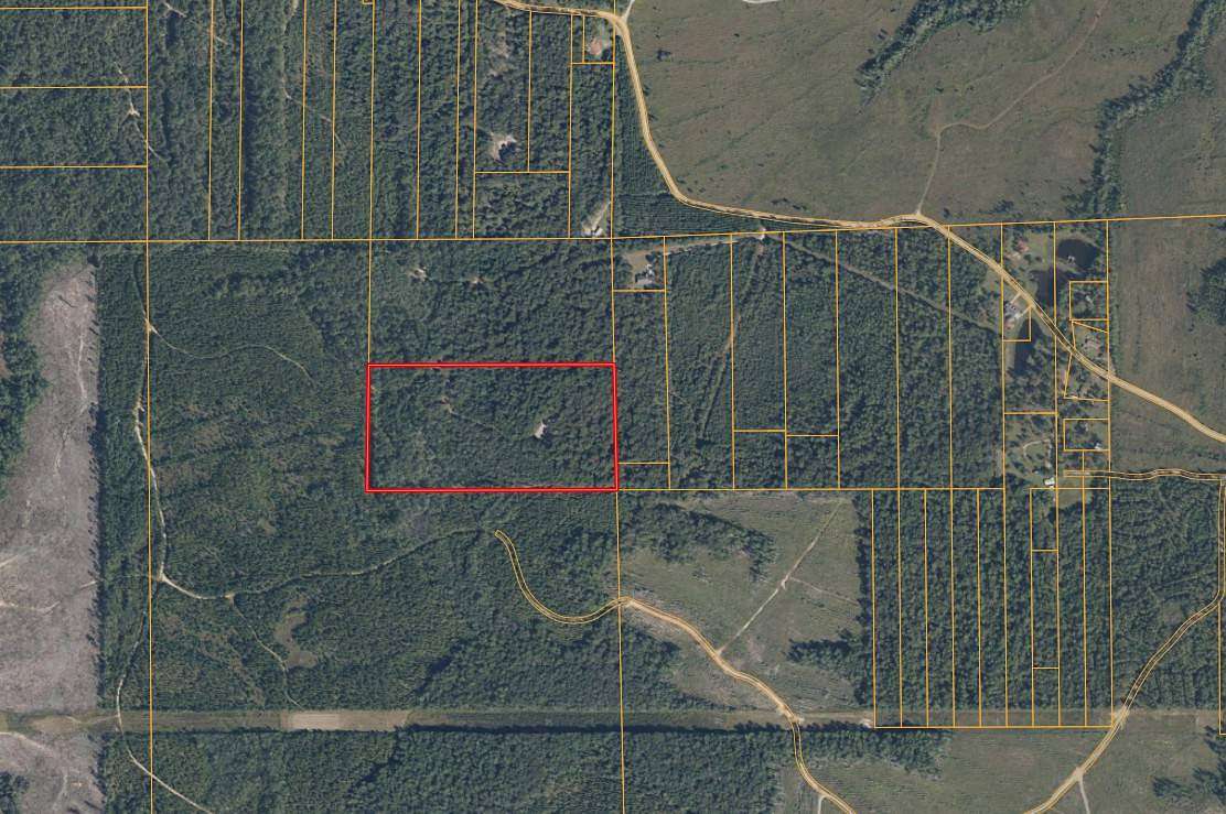 20 Acres of Mixed-Use Land for Auction in McIntosh, Alabama