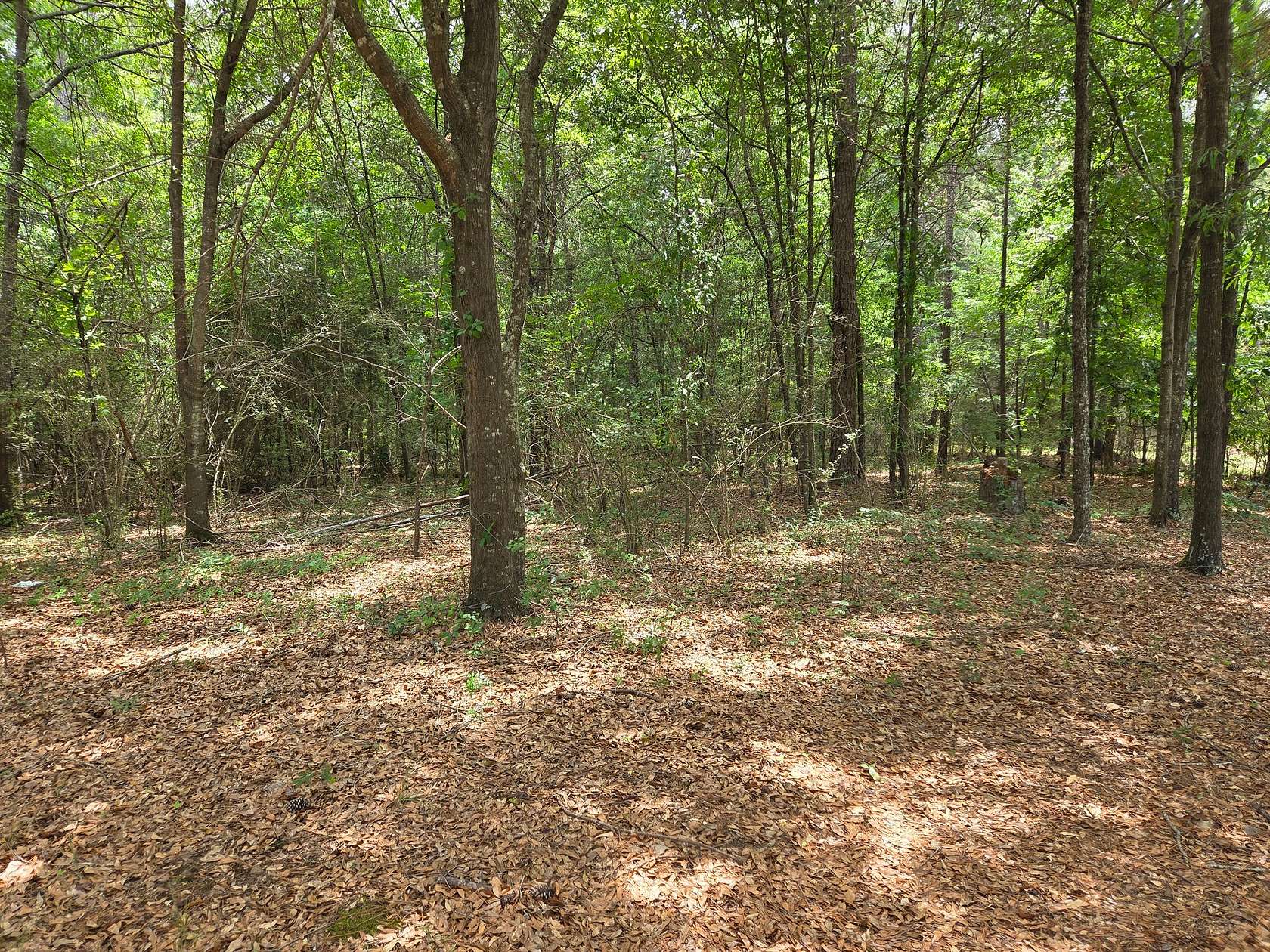 15 Acres of Land for Sale in Macon, Georgia