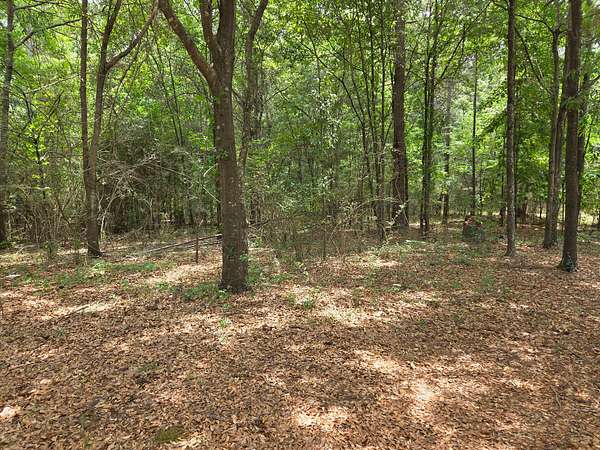 15 Acres of Land for Sale in Macon, Georgia