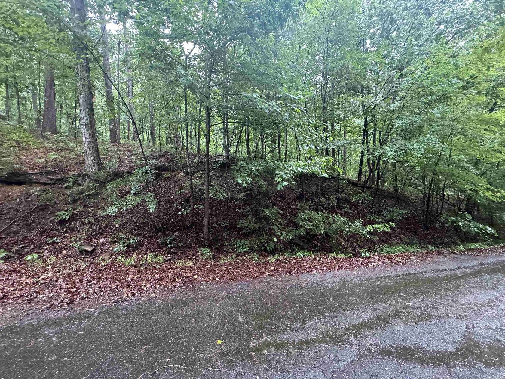 1 Acre of Residential Land for Sale in Hot Springs Village, Arkansas
