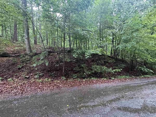 1 Acre of Residential Land for Sale in Hot Springs Village, Arkansas