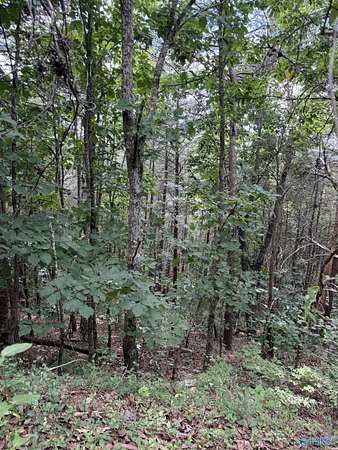102 Acres of Recreational & Residential Land for Sale in Collinsville, Alabama