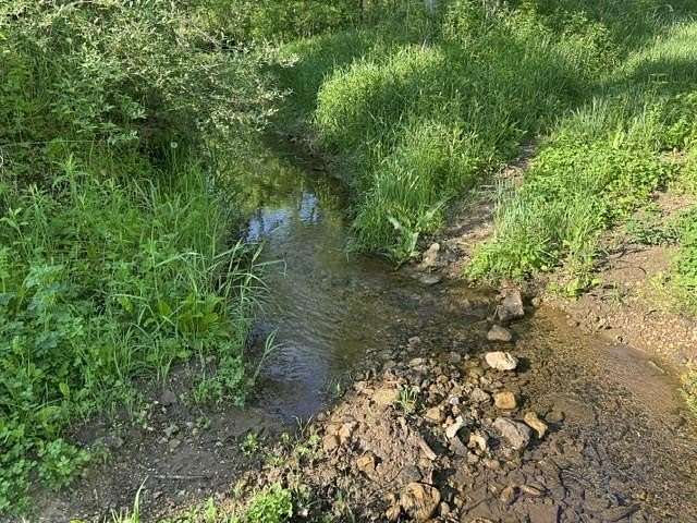 207 Acres of Land for Sale in Blue River, Wisconsin