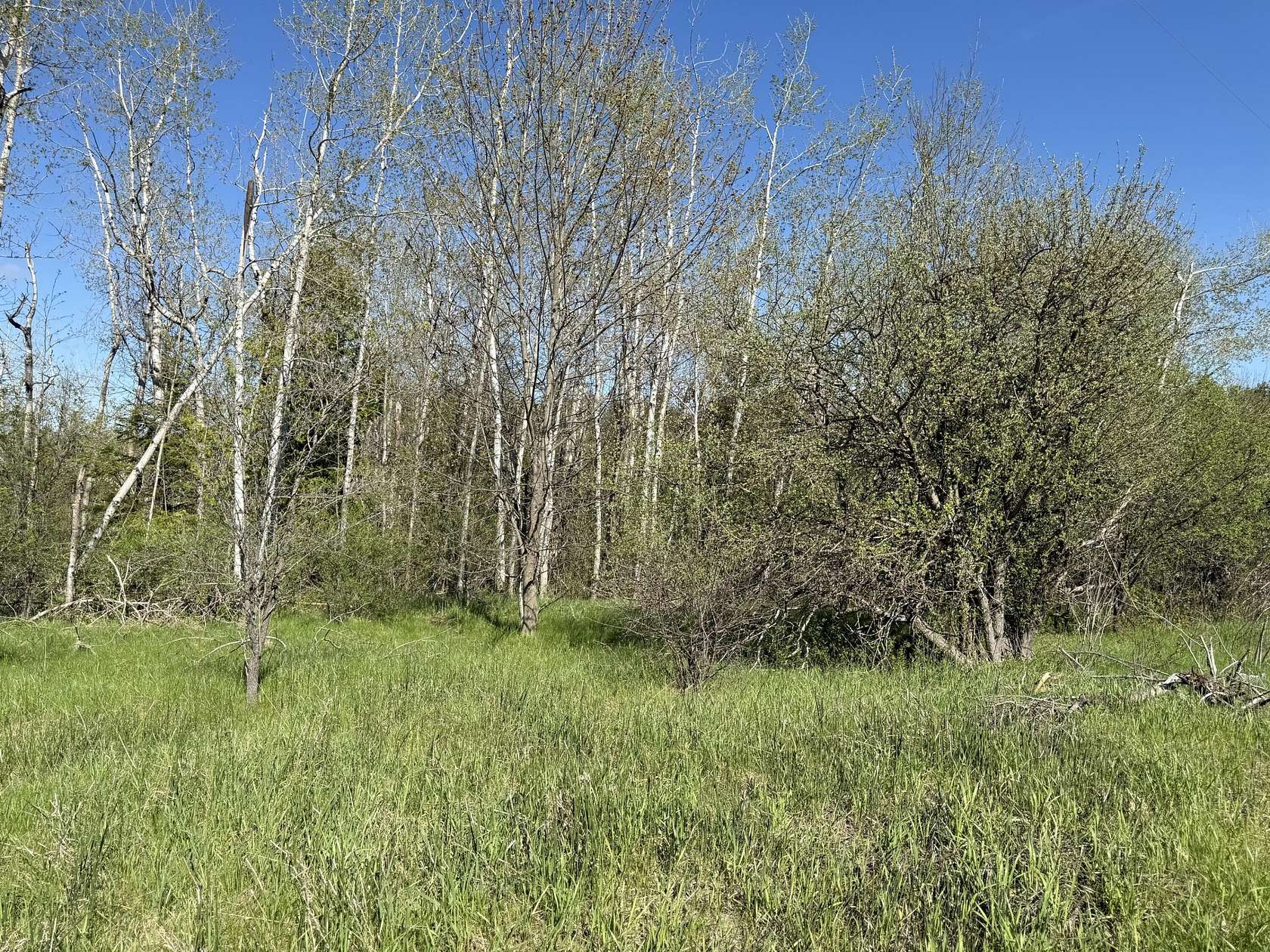 1 Acre of Land for Sale in Cheboygan, Michigan
