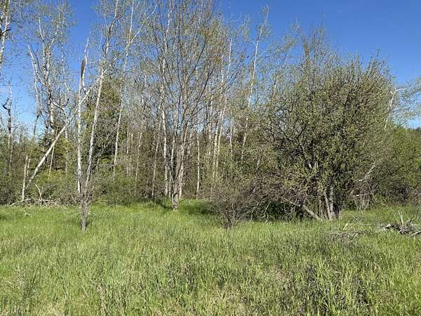 1 Acre of Land for Sale in Cheboygan, Michigan
