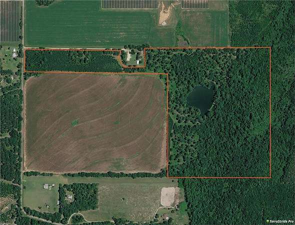 64.5 Acres of Land for Sale in Climax, Georgia