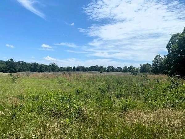 50 Acres of Recreational & Residential Land for Sale in Athens, Texas