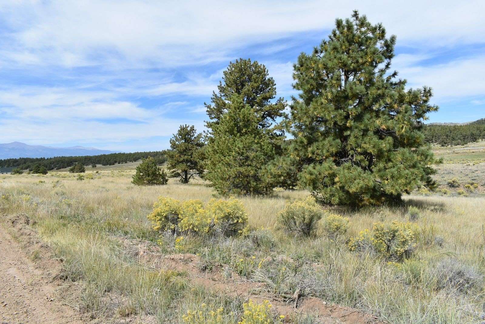 6.4 Acres of Residential Land for Sale in Westcliffe, Colorado