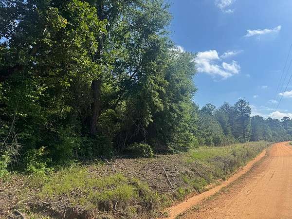 65.8 Acres of Land for Sale in Georgetown, Georgia